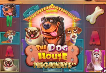 NOVOMATIC - игровой автомат онлайн от Various с RTP 97.42%